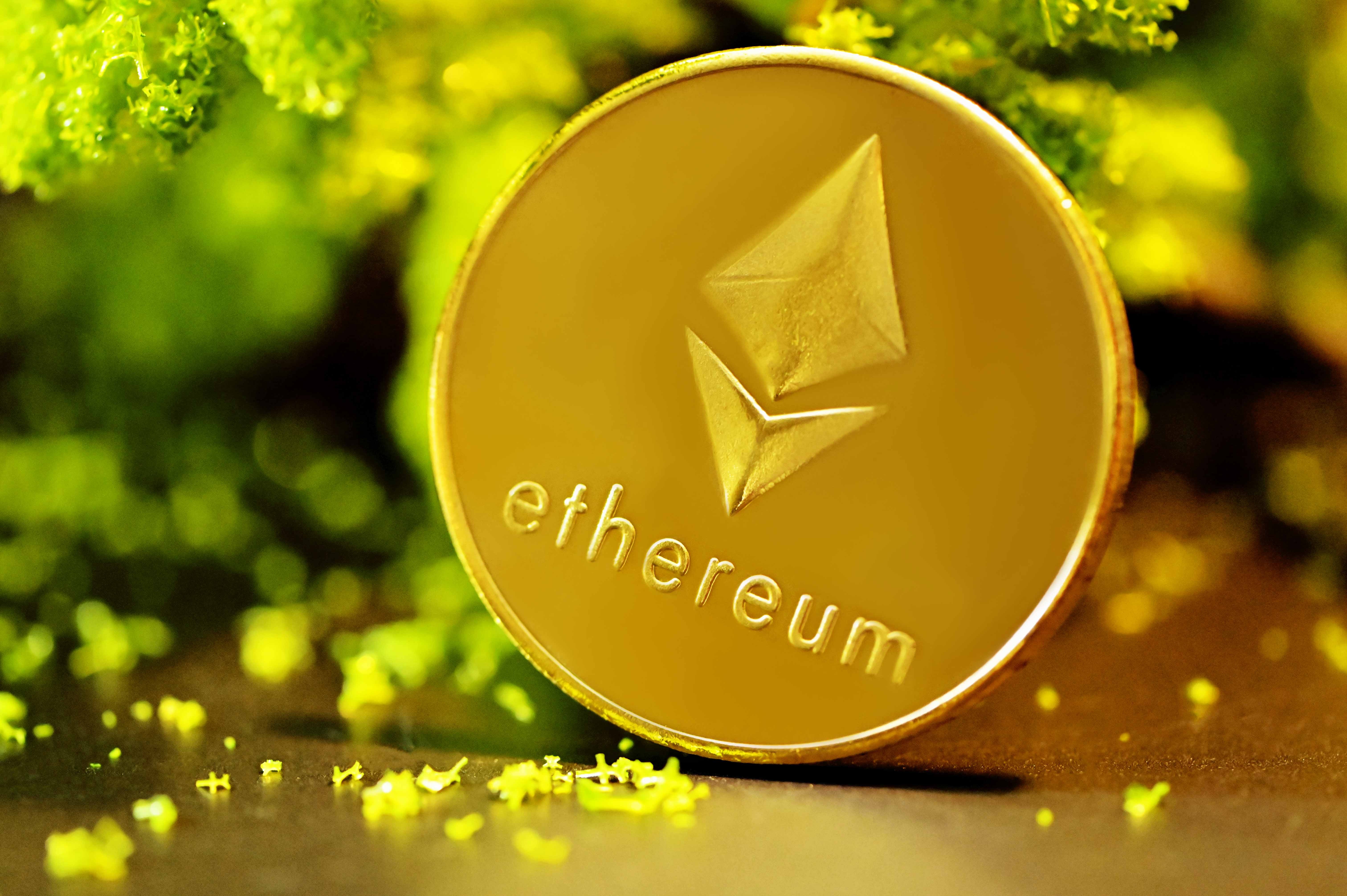 An Ethereum coin with a golden-green mossy background.