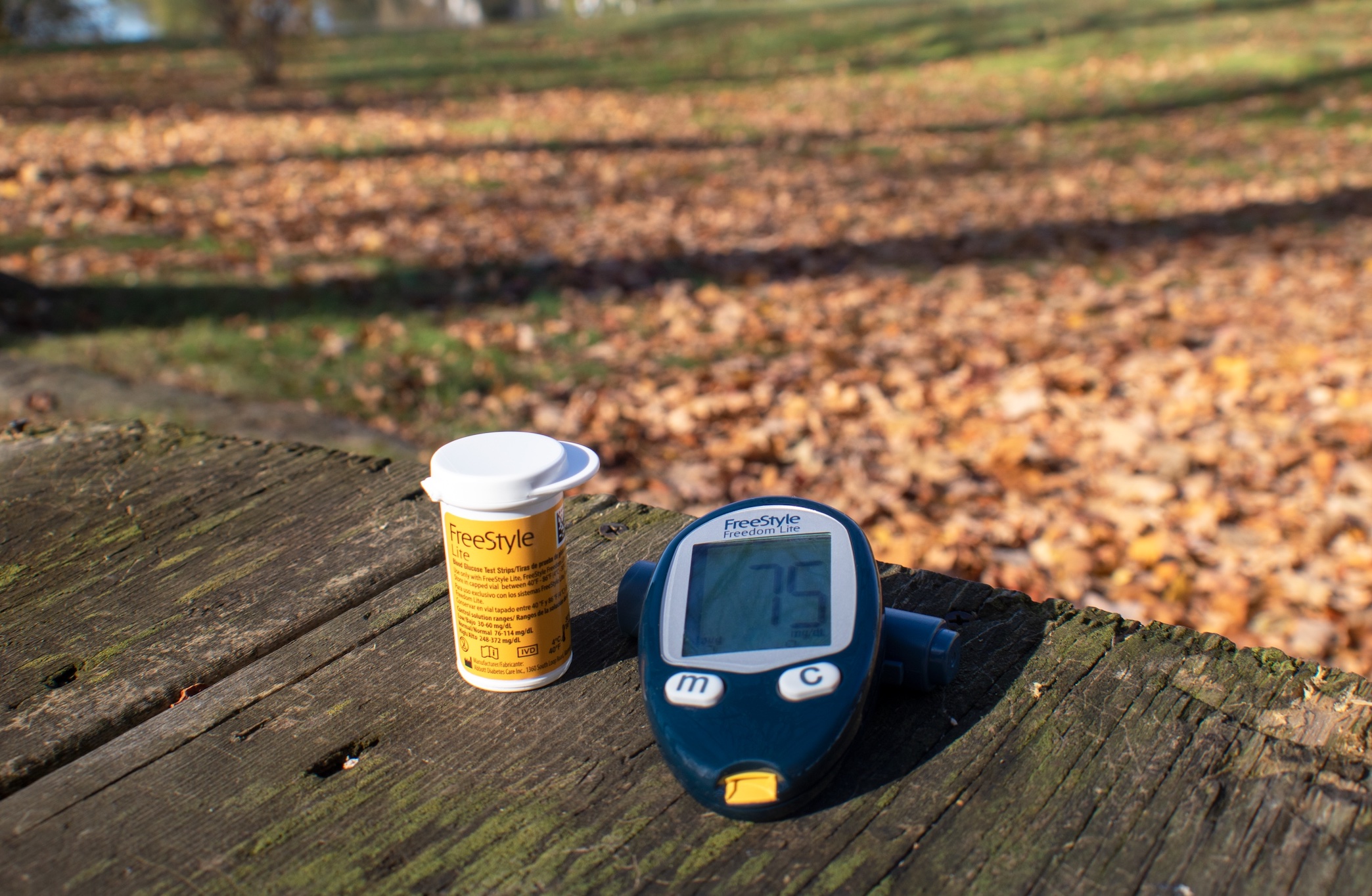Glucose meter and test strips; image by David Moruzzi, via Unsplash.com.