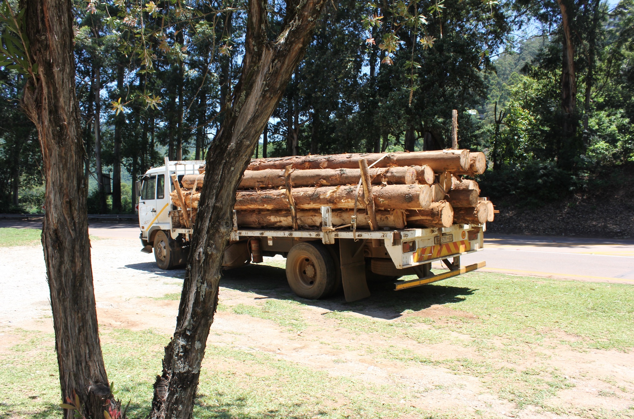 Log truck fully loaded; image by Dineo Motau, via Unsplash.com.