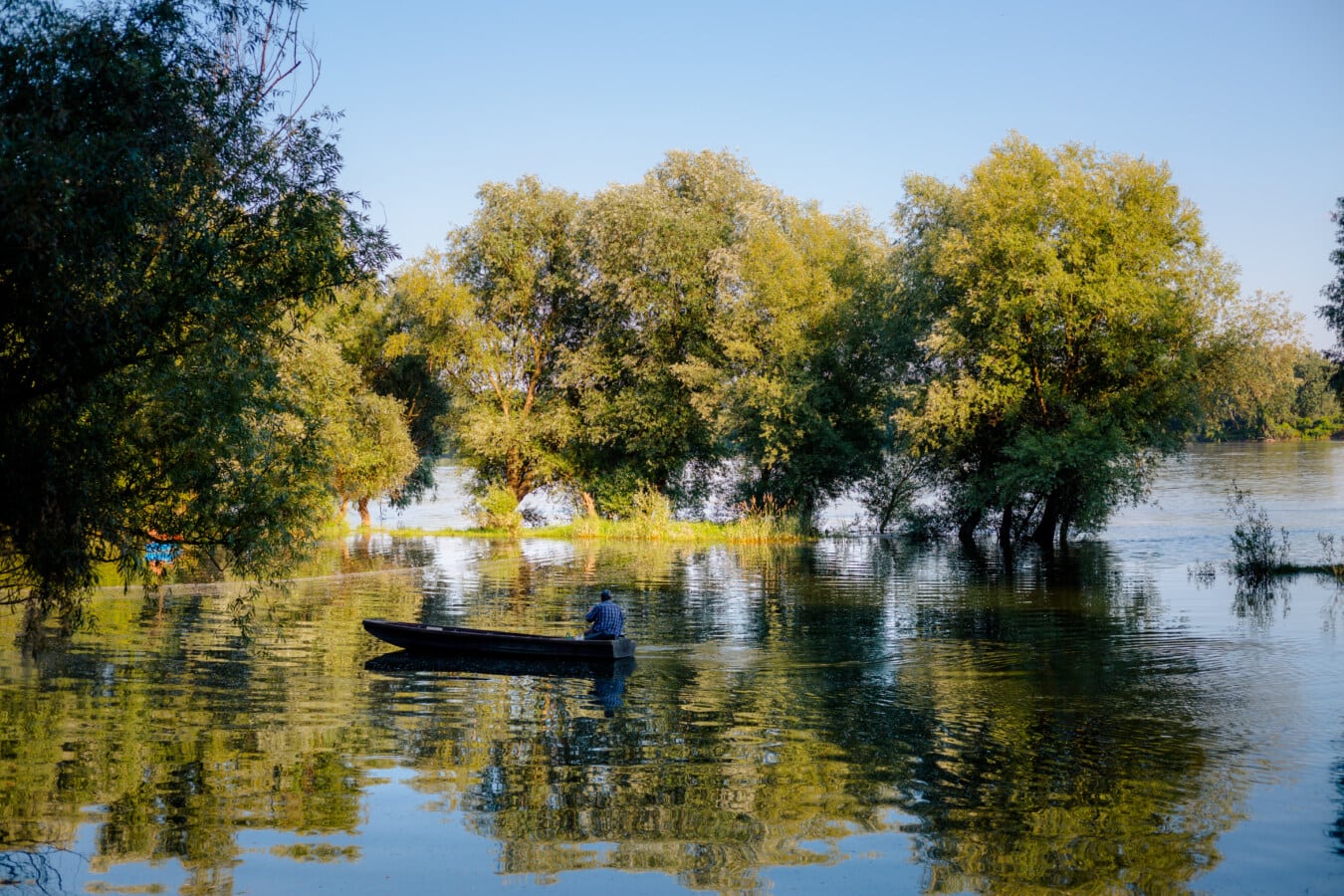 Man in boat on floodplain; photo by <a href="https://pixnio.com/media/paddle-river-boat-man-floodplain-floor">Drazen Nesic</a> on <a href=“https://pixnio.com/">Pixnio</a>.