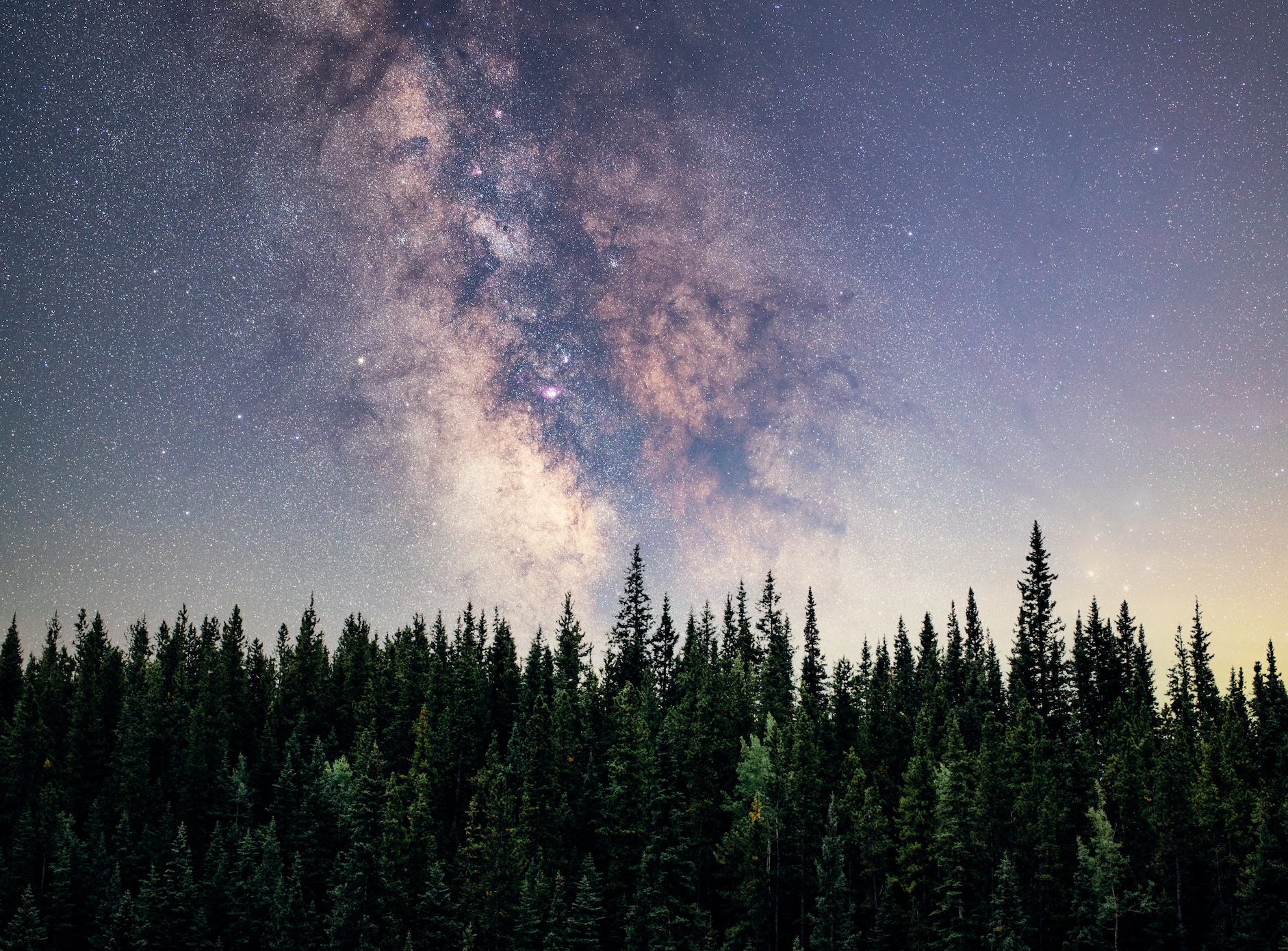 Stary night sky over pine forest in Minnesota; image by Vincent Ledvina, via Unsplash.com.