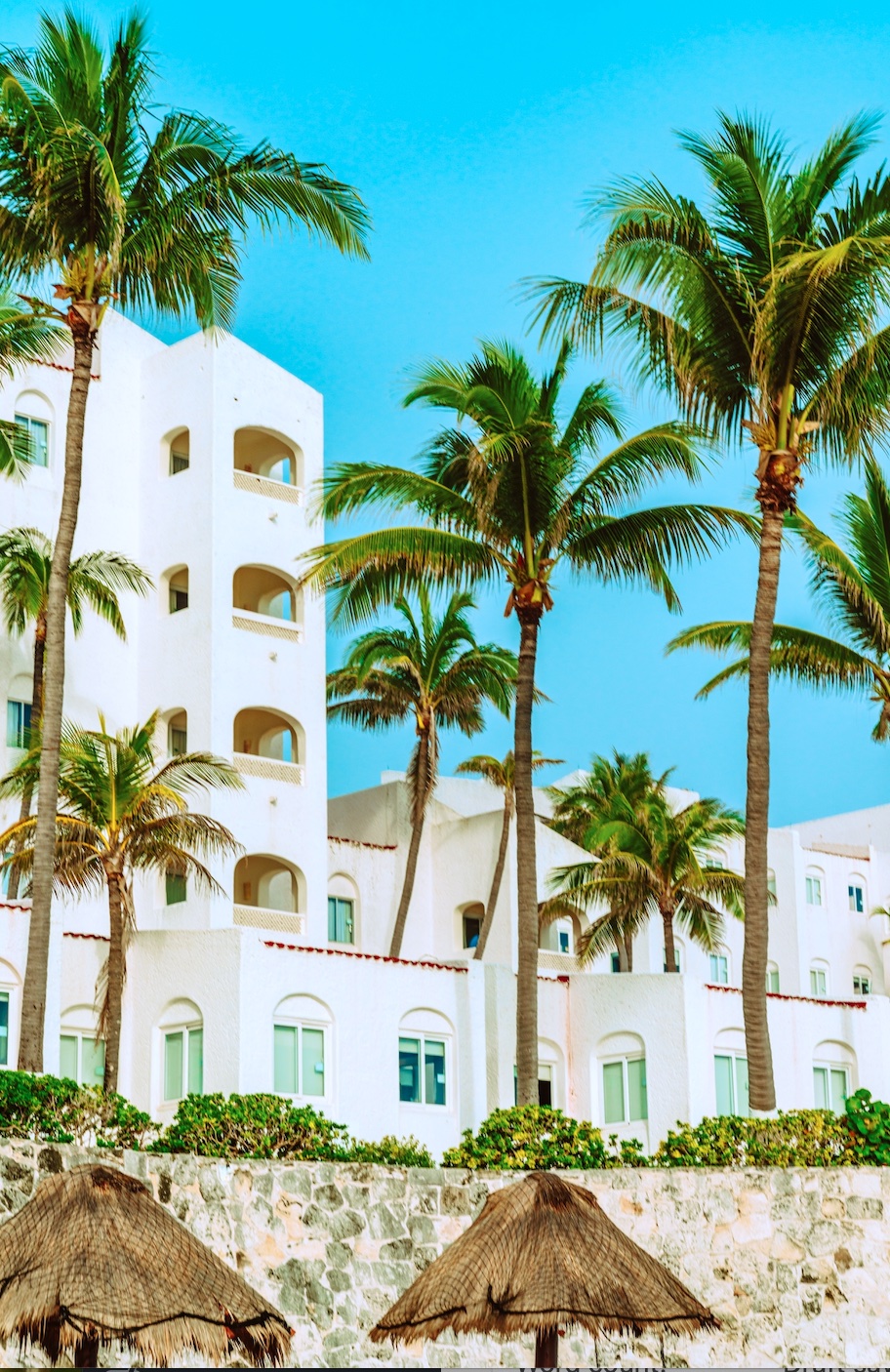 Tropical hotel with palm trees; image by Meritt Thomas, via Unsplash.com.