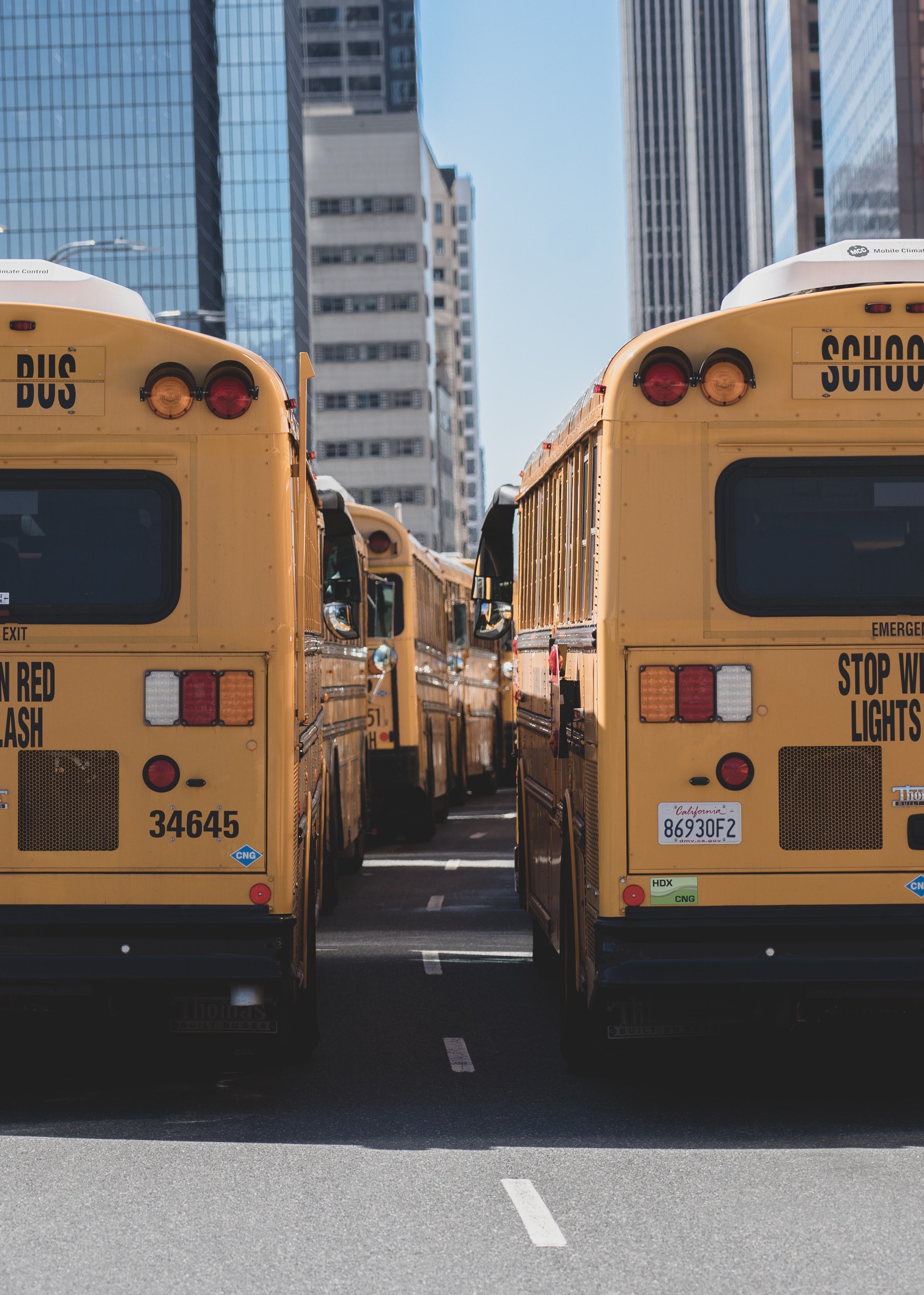 Two lanes of school busses on road; image by Juan-Carlos Becerra, via Unsplash.com.