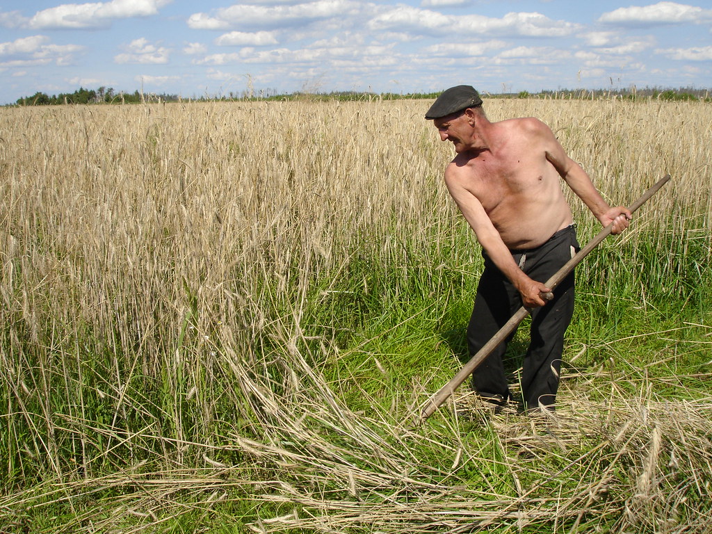 A farmer working a field with a scythe.