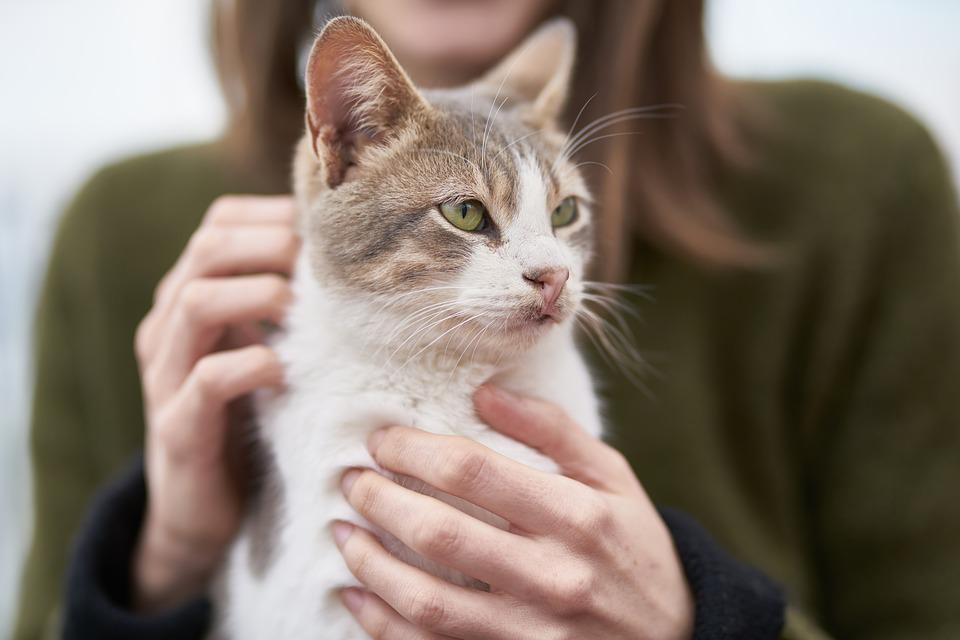 A woman holding a cat.