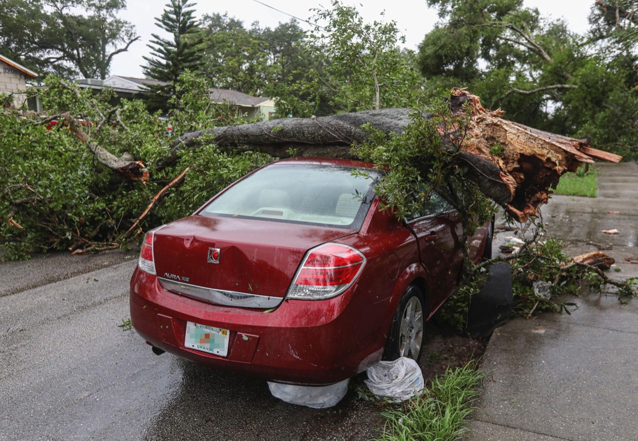Fallen tree on top of car; image by Mike Haupt, via Unsplash.com.
