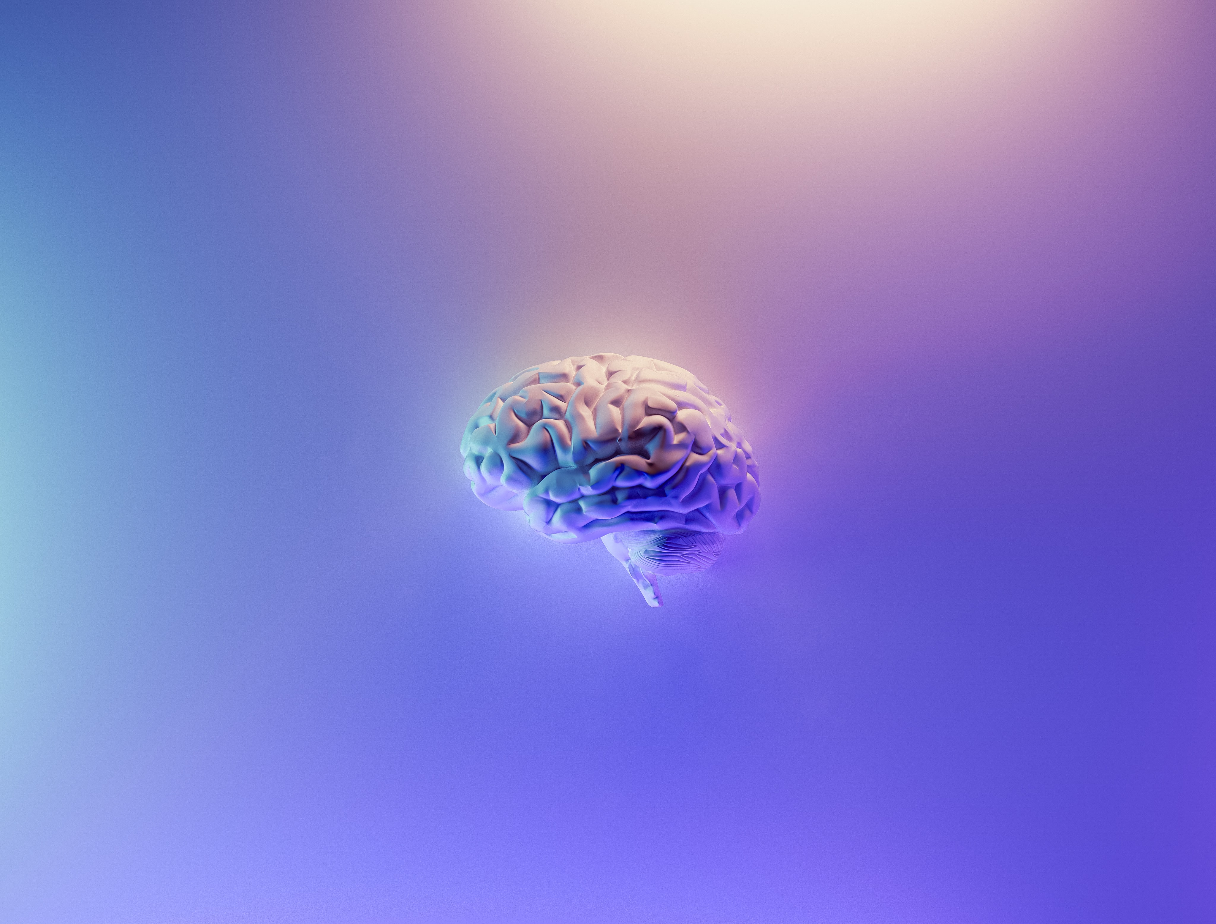 Model of the brain; image by Milad Fakurian, via Unsplash.com.