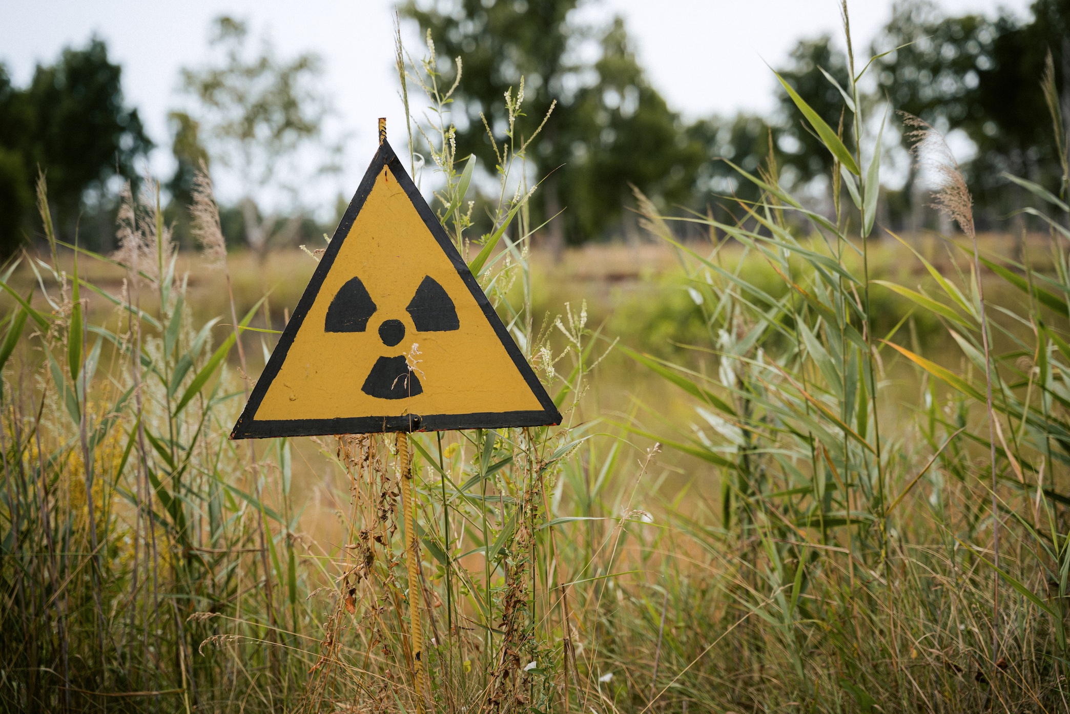 Radioactive symbol in a grassy field; image by Kilian Karger, via Unsplash.com.