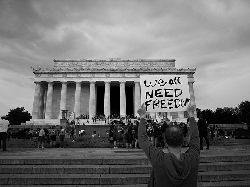 A man stands in front of the Lincoln Memorial with a sign that reads "we all need freedom".