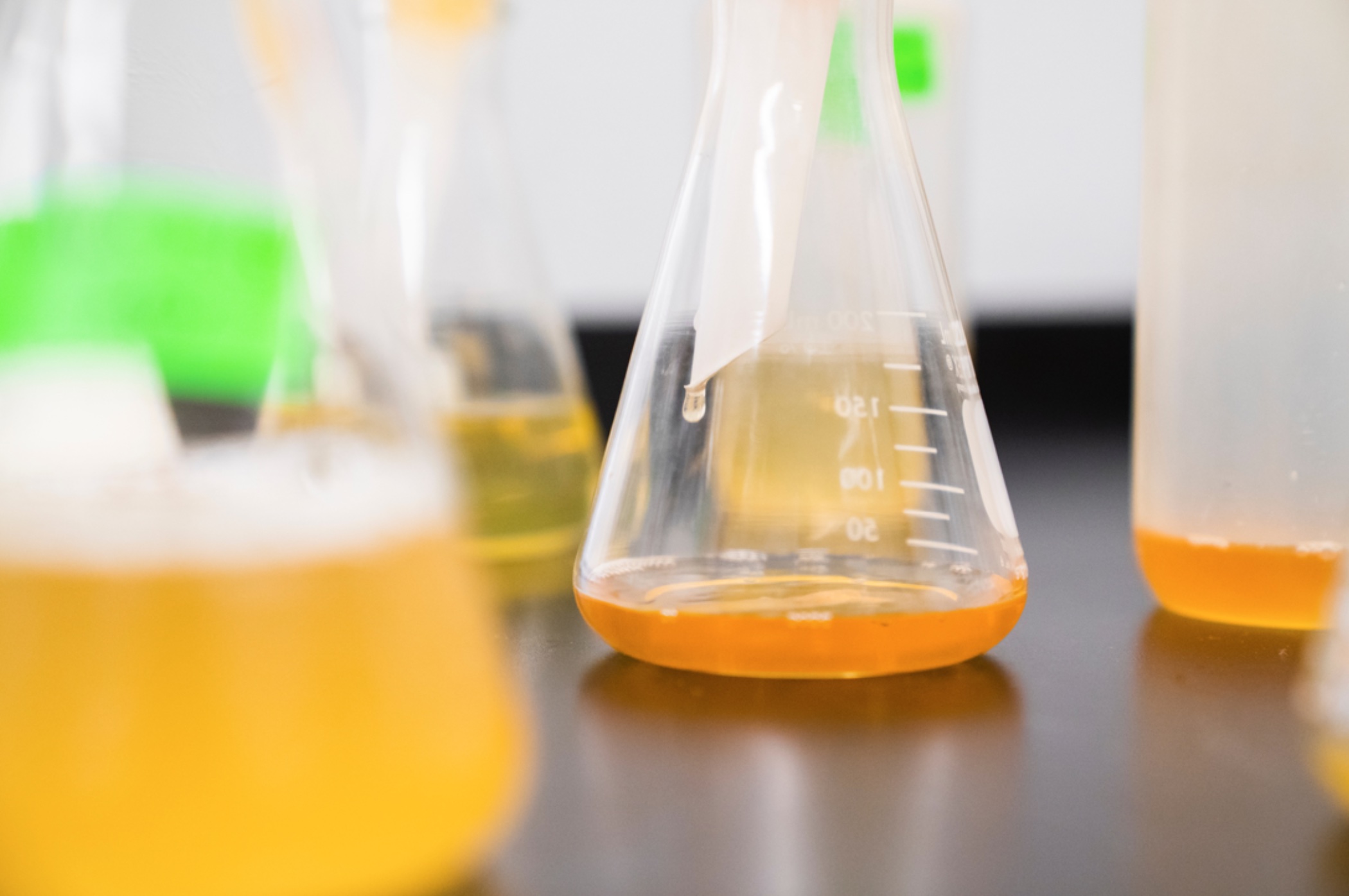 Erlenmeyer flasks containing yellow liquid; image by Elevate, via Unsplash.com.