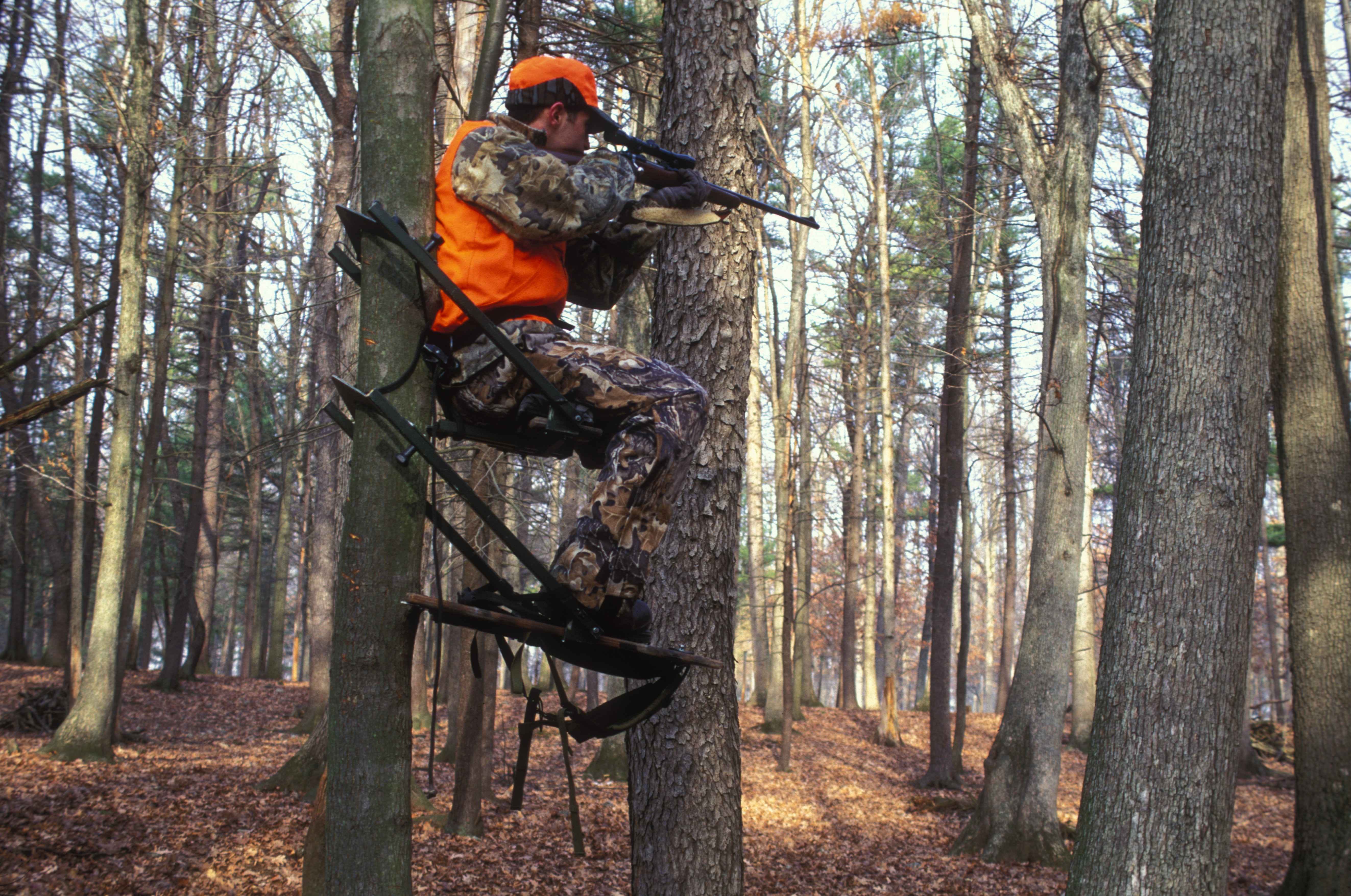 A hunter sitting in a tree stand, wearing camo and blaze orange.