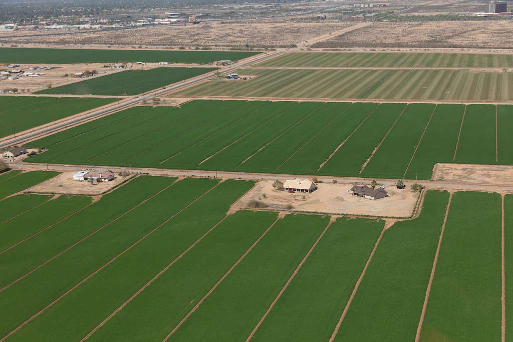 Aerial view of lush, green agricultural plots surrounded by sandy-colored Arizona soil.