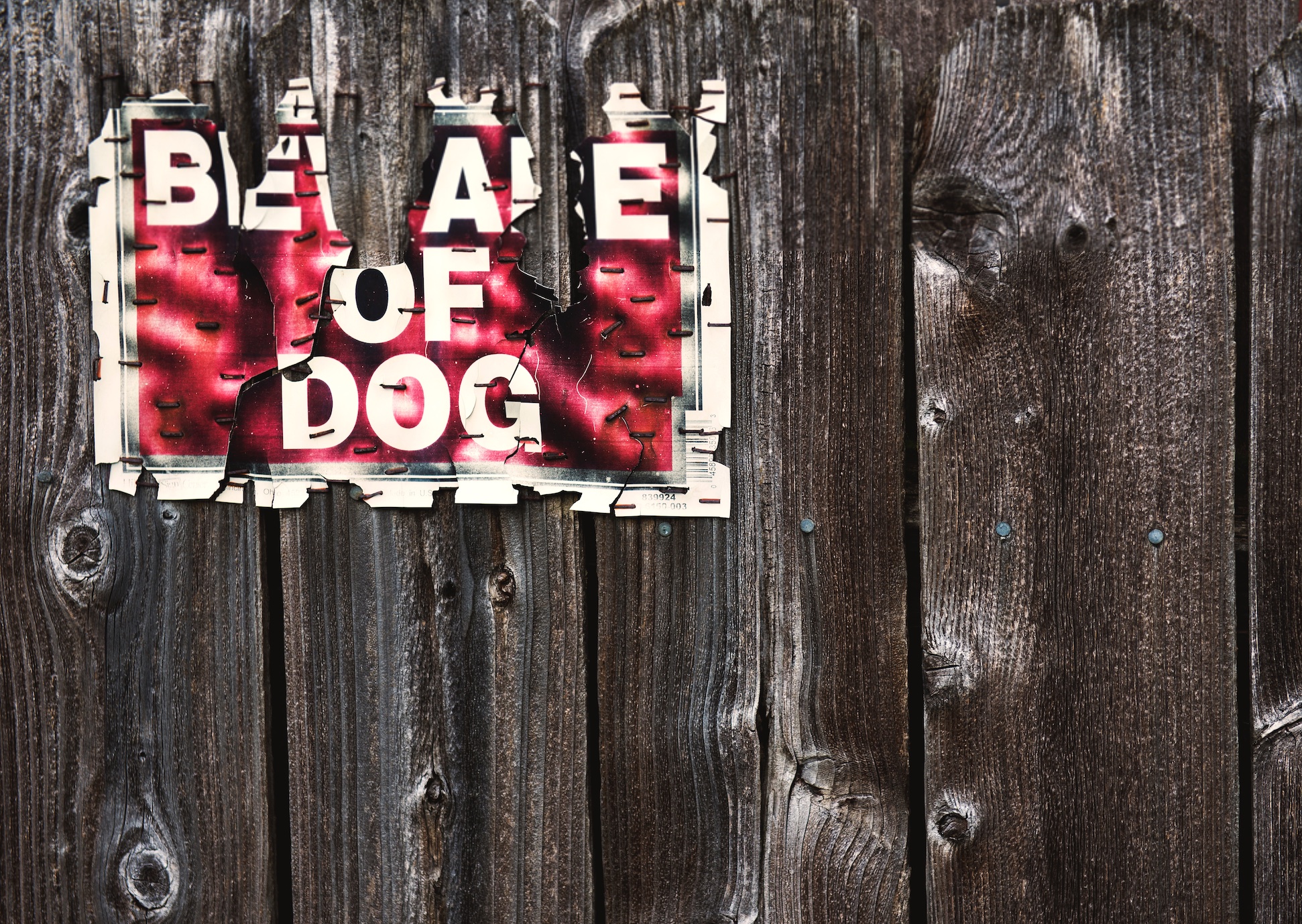 Tattered Beware of Dog sign stapled to fence; image by Tim Mossholder, via Unsplash.com.