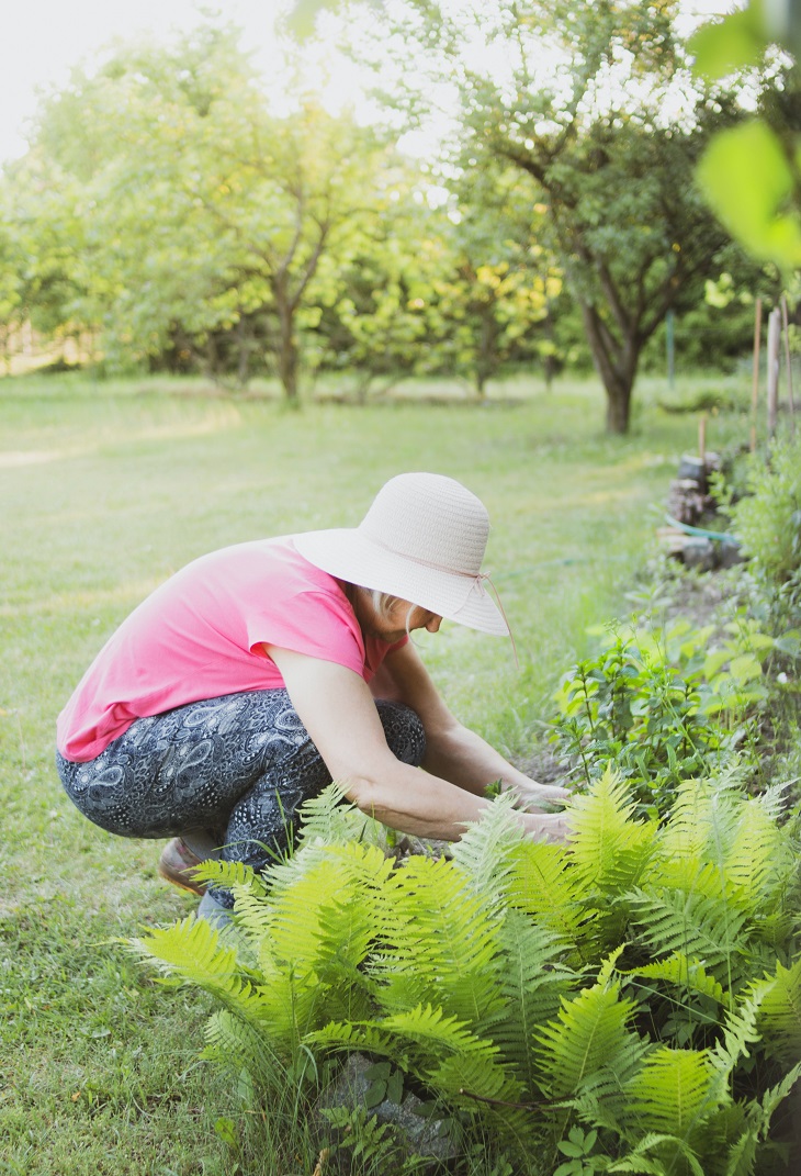 The Concept of Gardening as Therapy is Finally Taking Off