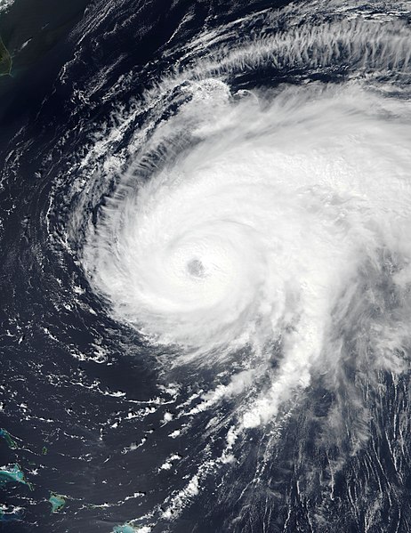 The classic swirling cloud-circle of a hurricane seen from space.