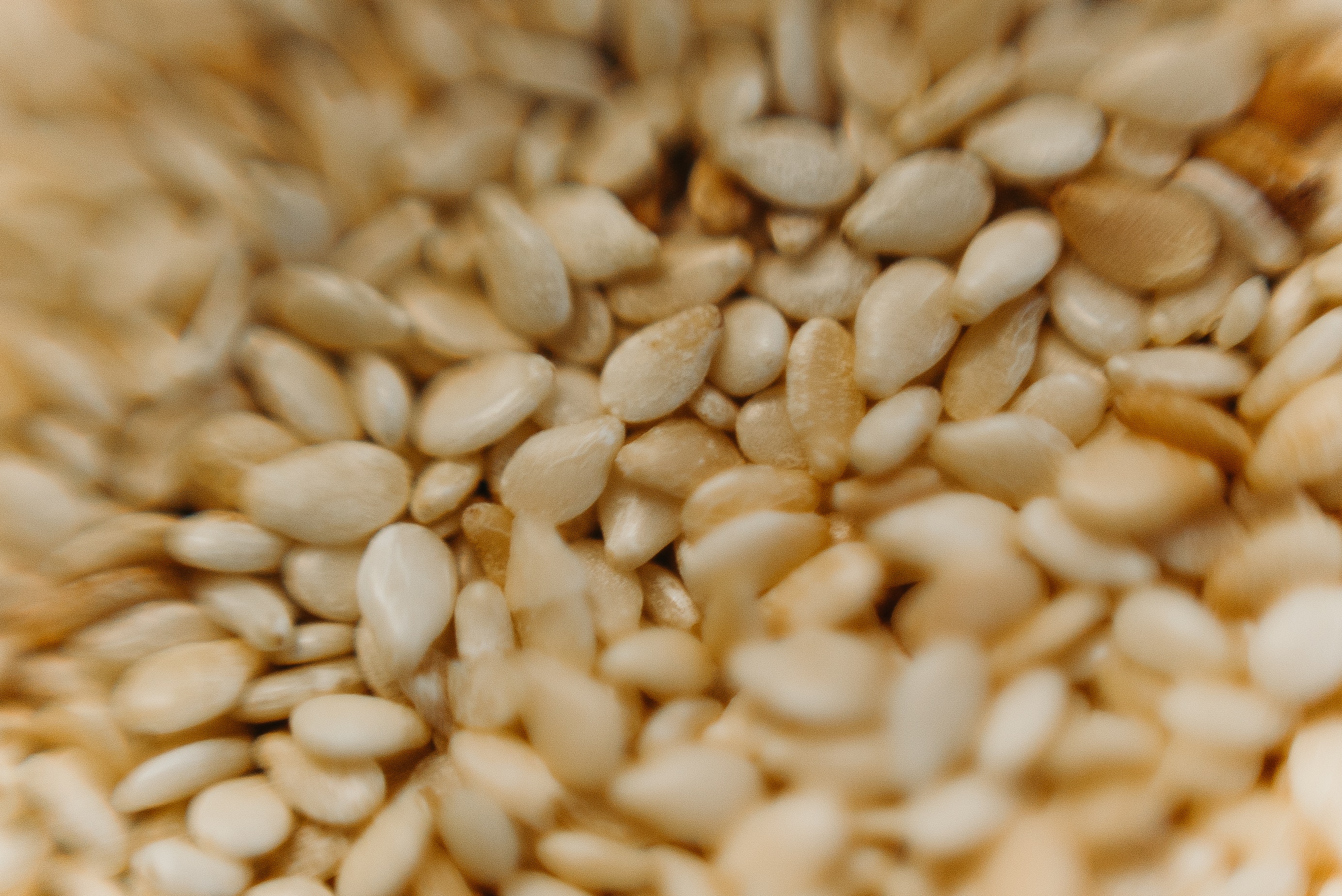 Refined Grains Are Harmful for Heart Health, Study Shows