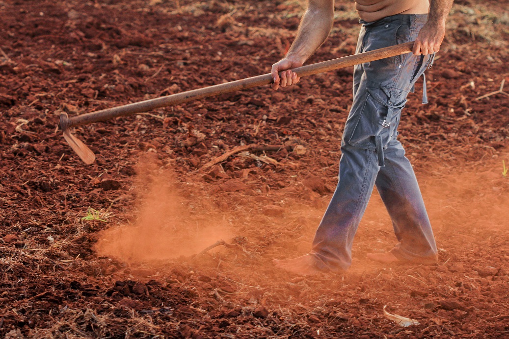 Agricultural Workers Deal with Chronic Stress, Poor Mental Health