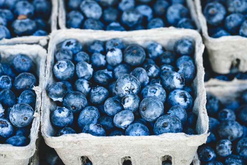 Wild Blueberries Can Battle Against Cognitive Decline