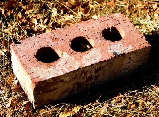 A standard red clay brick, with three holes.