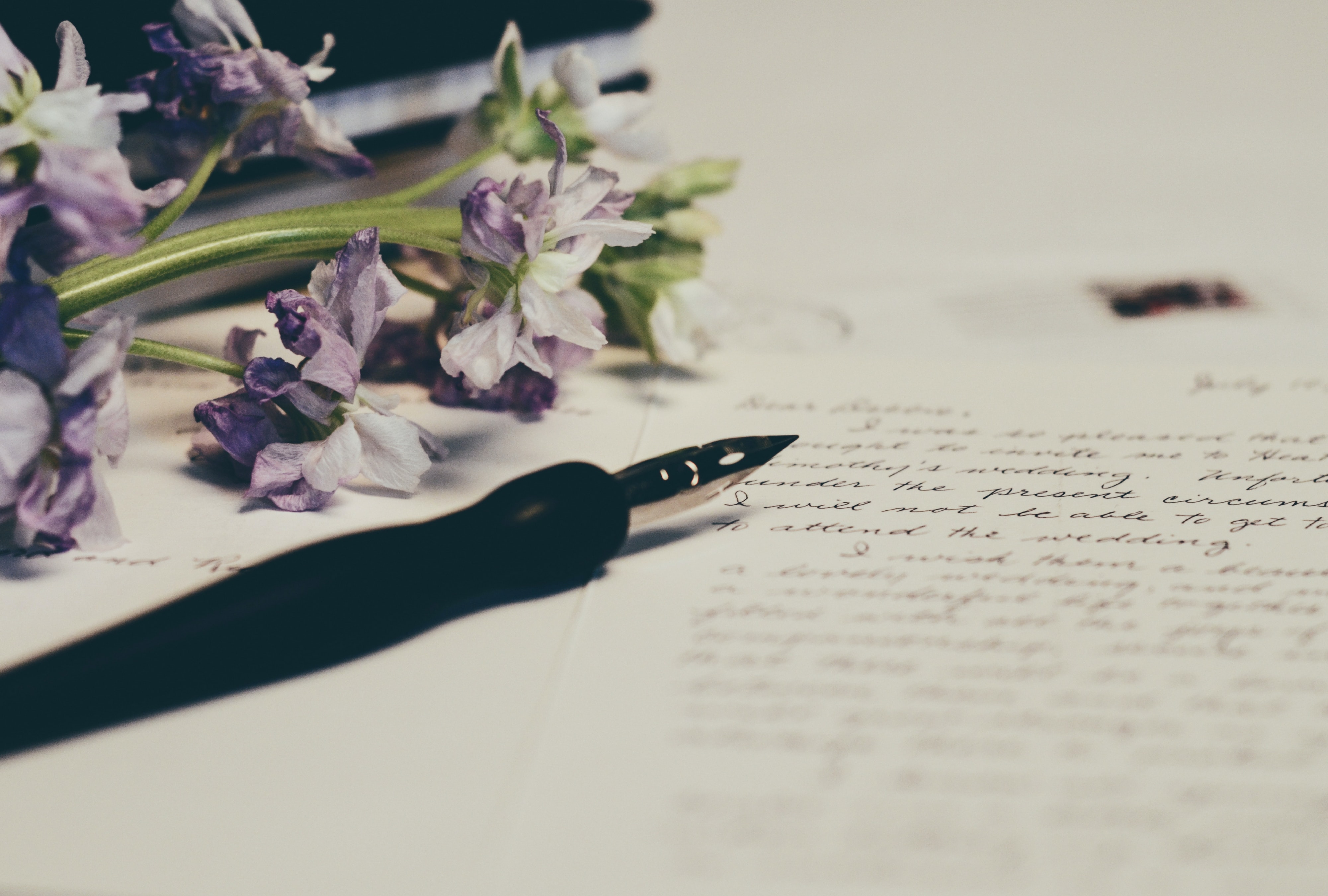 Purple flowers on paper with pen; image by Debby Hudson, via Unsplash.com.