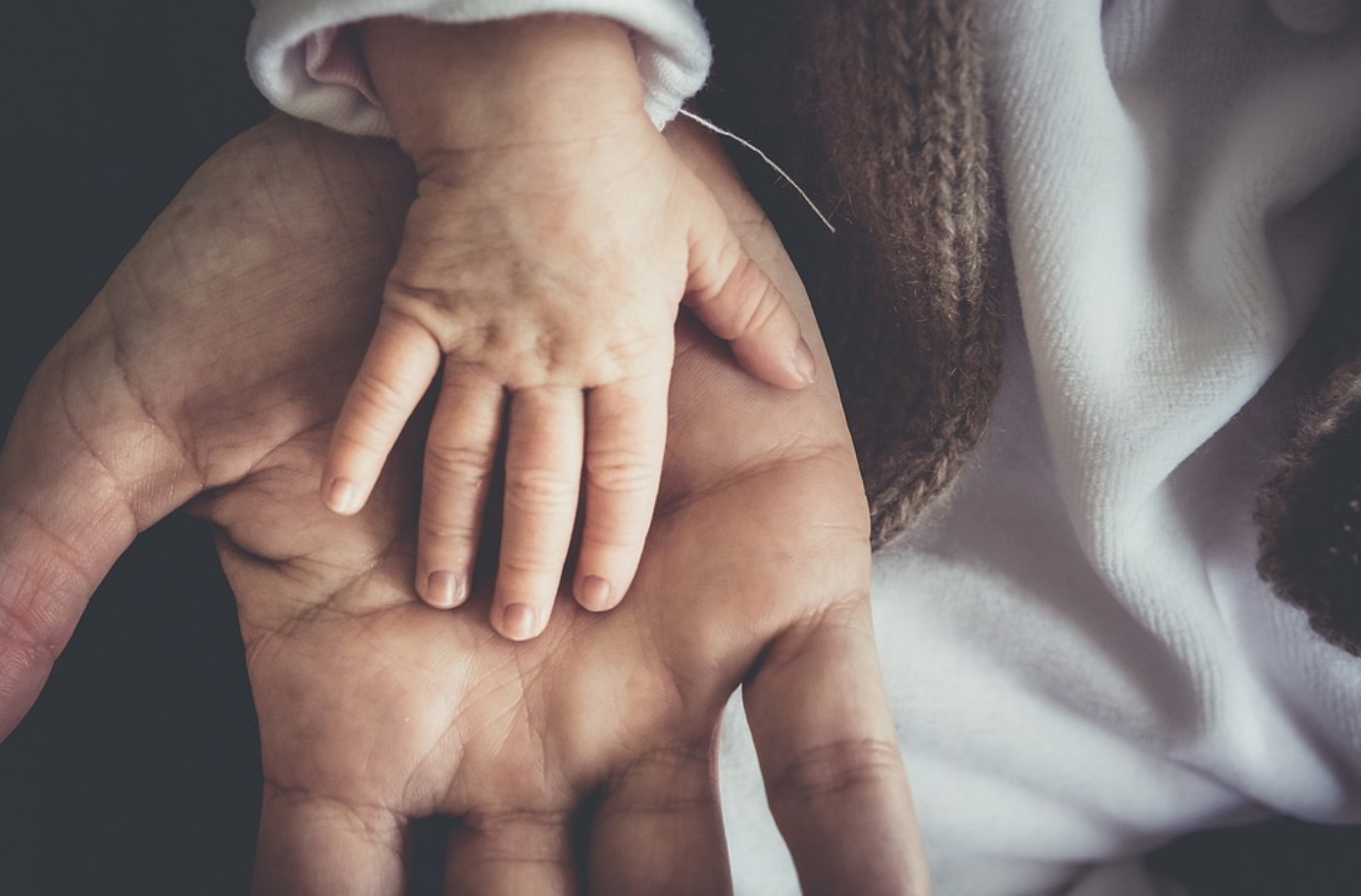 Baby's hand on man's hand; image by Skalekar1992, via Pixabay.com.