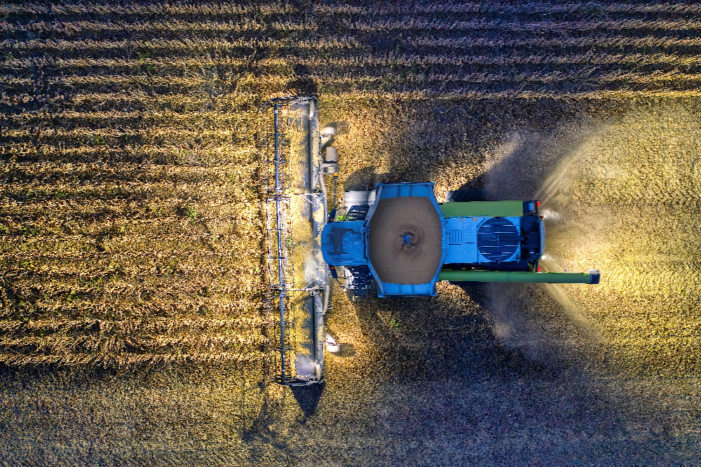 Hawaii's Agricultural Workers are Struggling with Their Mental Health