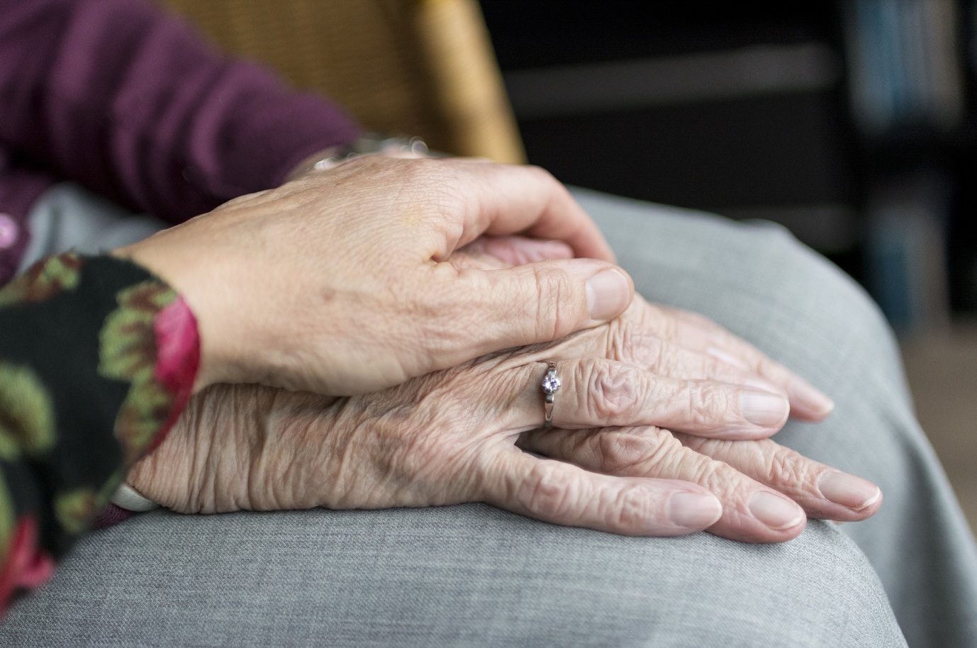 Adult hand resting on elderly hands; image by Sabine Van Erp, via Pixabay.com.