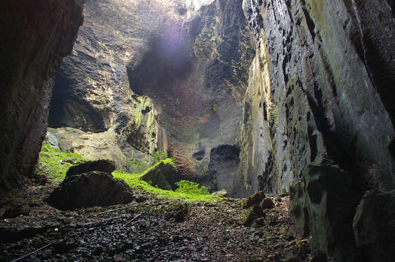 Inside a cave, with light from above, some plant growth, and plenty of guano.