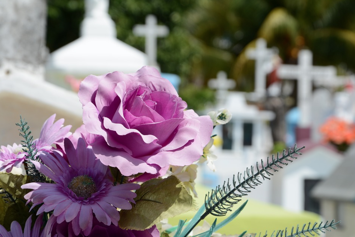 Lavender flowers at a cemetery; image by Vlanka, via Pixabay.com.