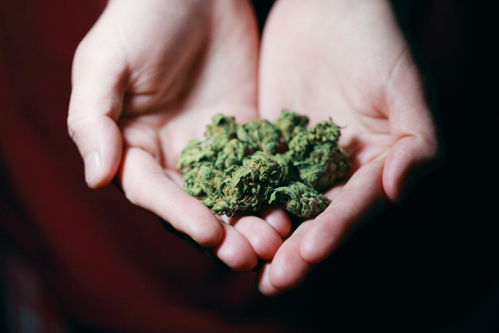 Cannabis-induced Psychosis is a Very Real Problem in Men