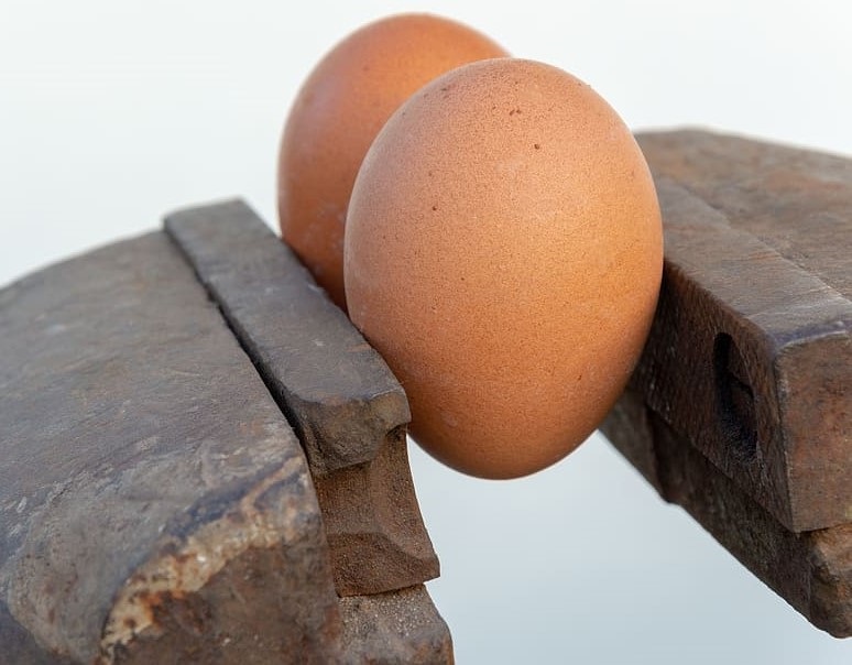 Two brown eggs in the grip of a metal vise.