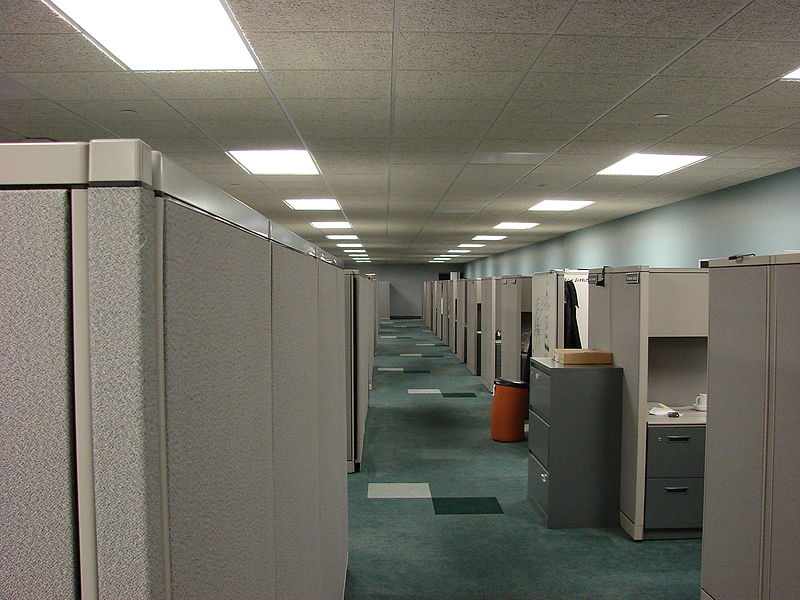 A long office corridor, lined with cubicles and florescent lights.