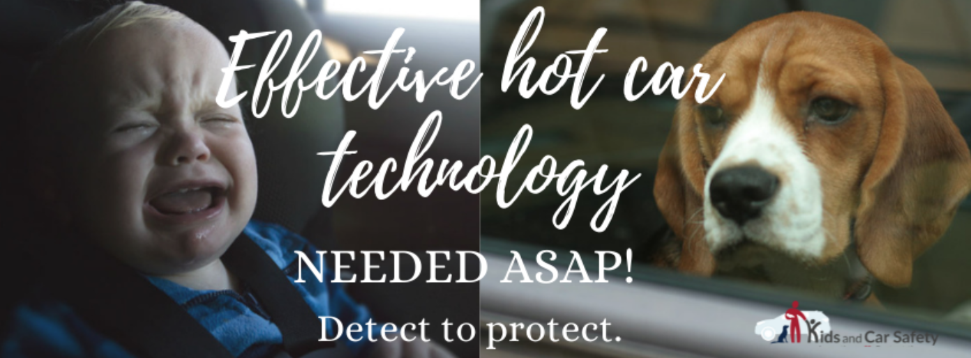 Infant and dog in car. Text saying, "Effective Hot Car Technology Needed ASAP! Detect to protect." Courtesy of Kids and Car Safety.