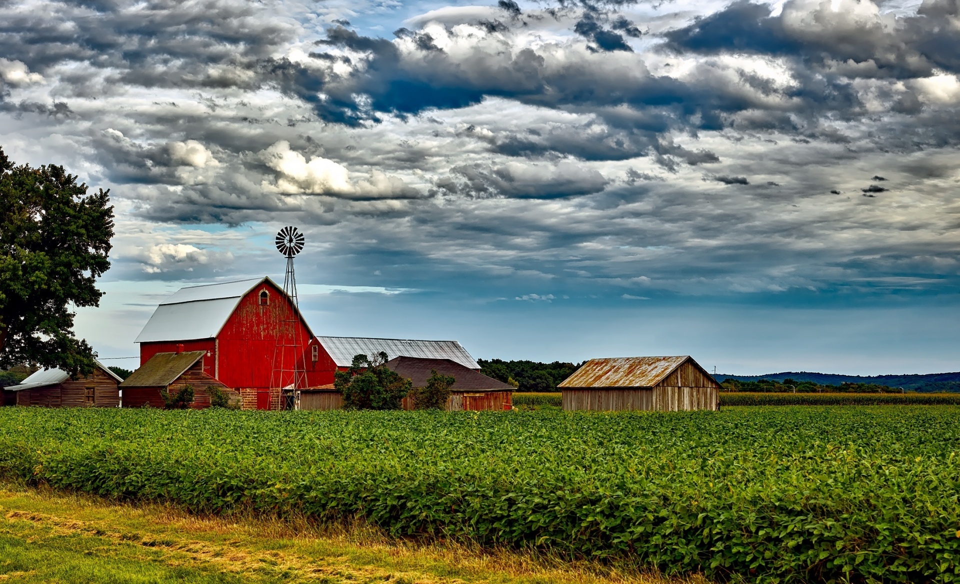 A picturesque farm, surrounded by green crops, under a cloudy sky.