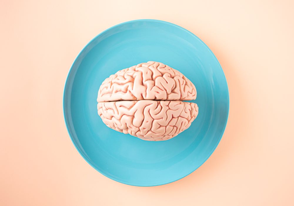 Researchers Identify a Link Between Memory, Appetite & Obesity
