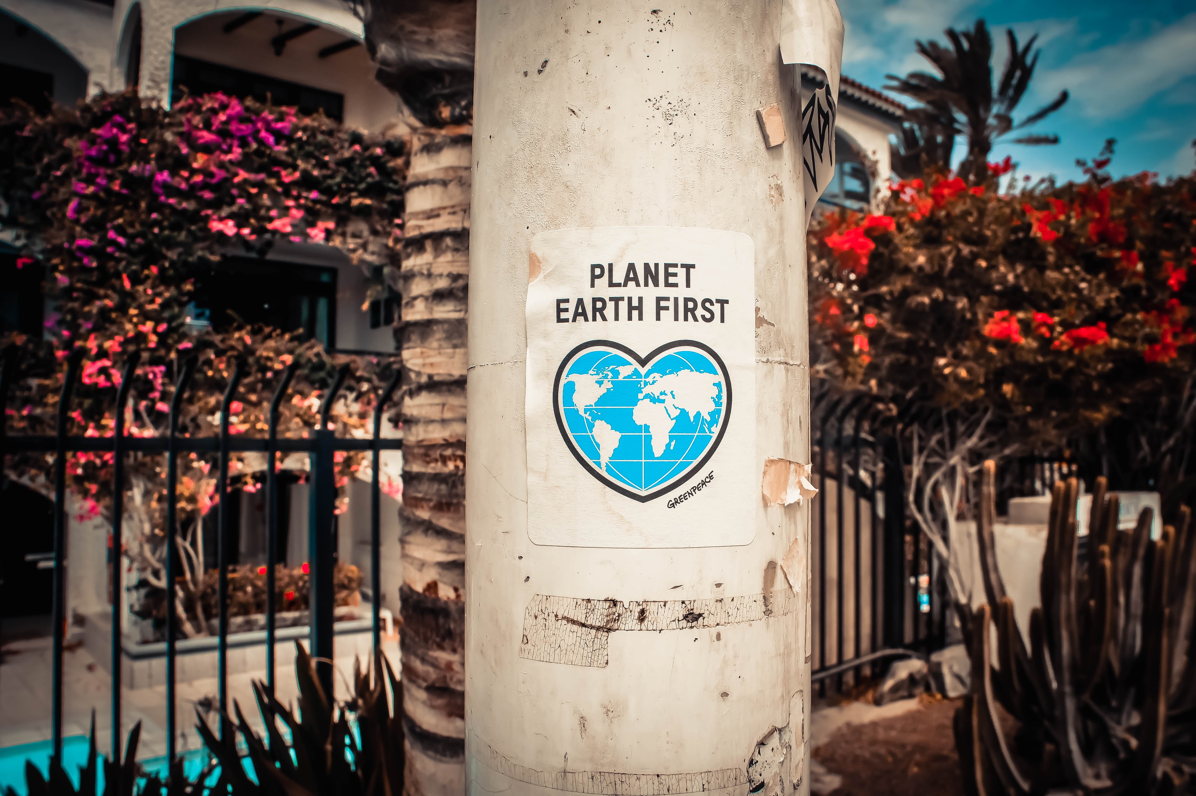 Poster saying Planet Earth First with a heart-shaped globe; image by Photo Boards, via Unsplash.com.