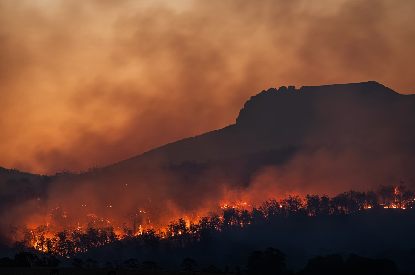 Bushfires below Stacks Bluff, Tasmania, Australia; image by Matt Palmer, via Unsplash.com.