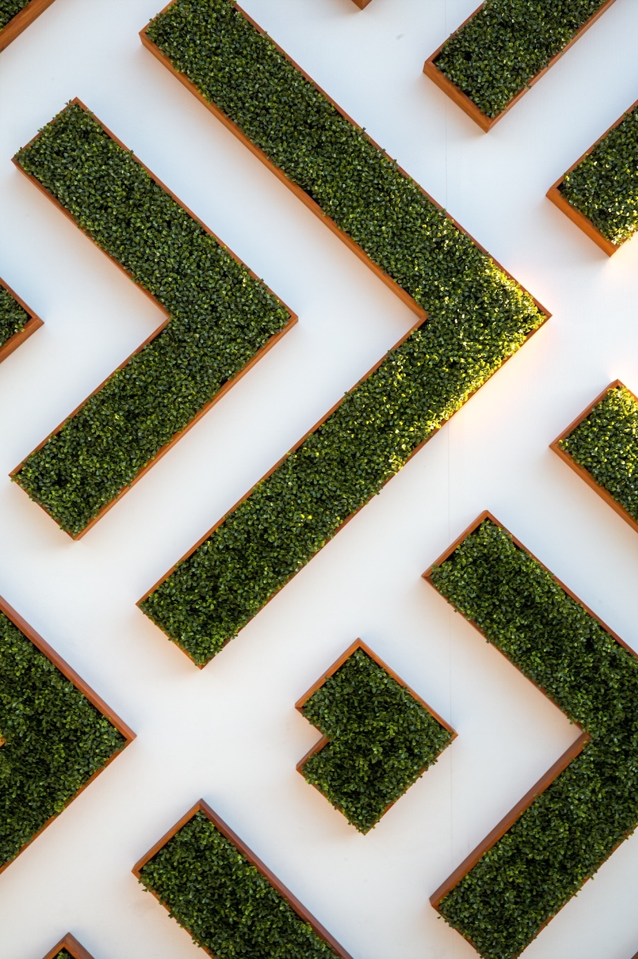 Geometric hanging planters with greens; image by Jason Leung, via Unsplash.com.