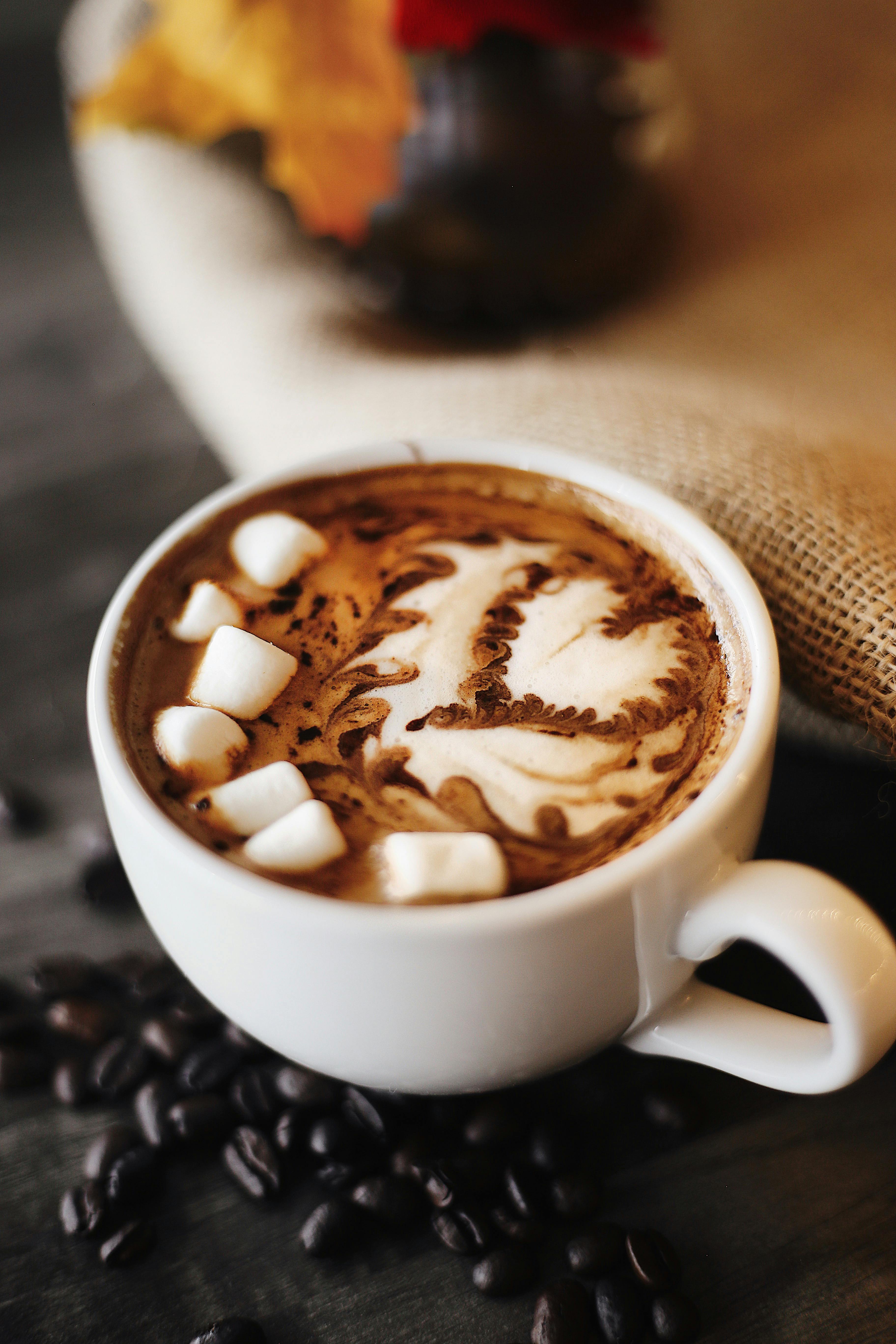 Some Hot Cocoa Products Found to Have Toxic Metals