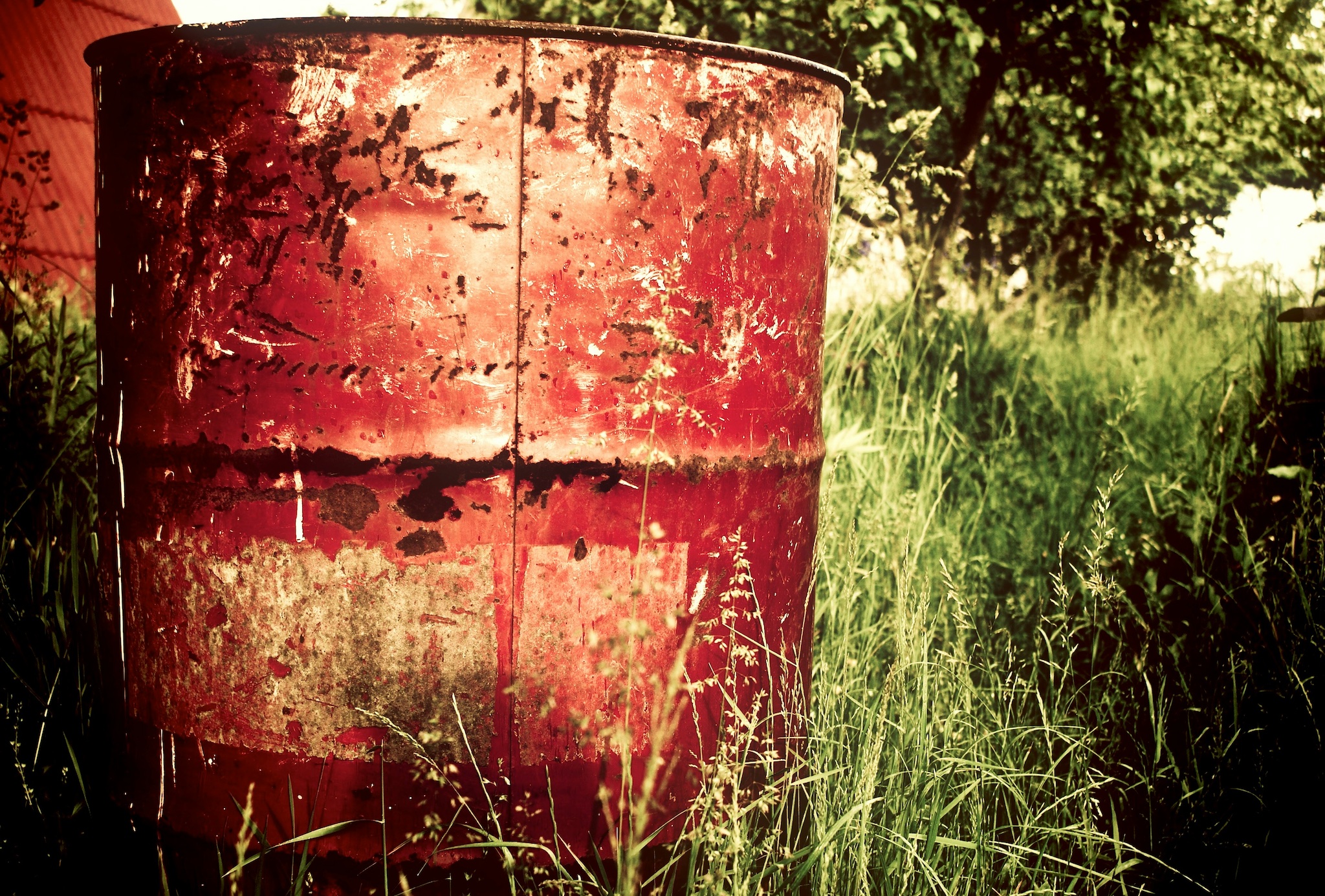 Rusted barrel on grass field; image by Aleks Dorohovich, via Unsplash.com.