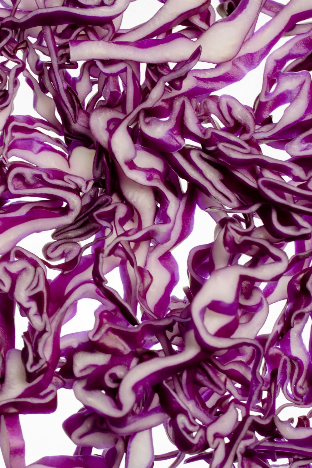 New Study Shows Red Cabbage Juice is Beneficial for Gut Health