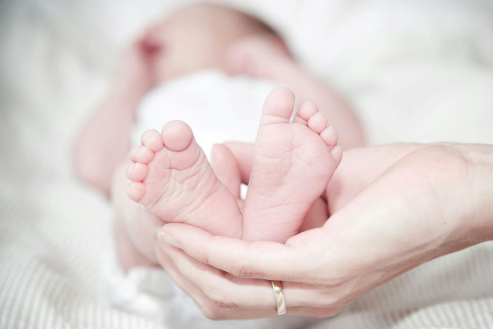 Pollution Exposure During Pregnancy Can Affect Newborn's Kidneys