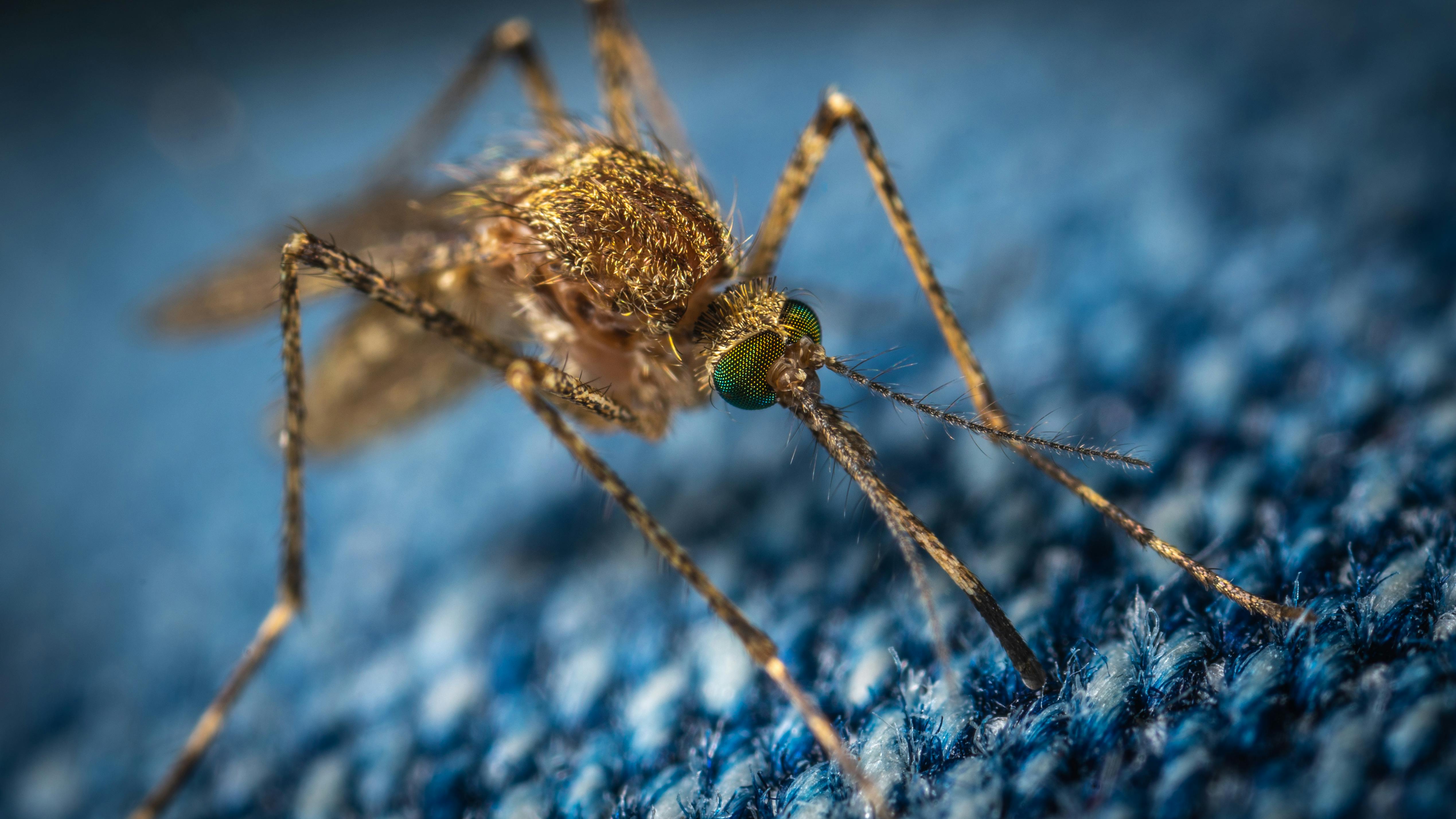 African Study Shows Malaria Messaging Impact