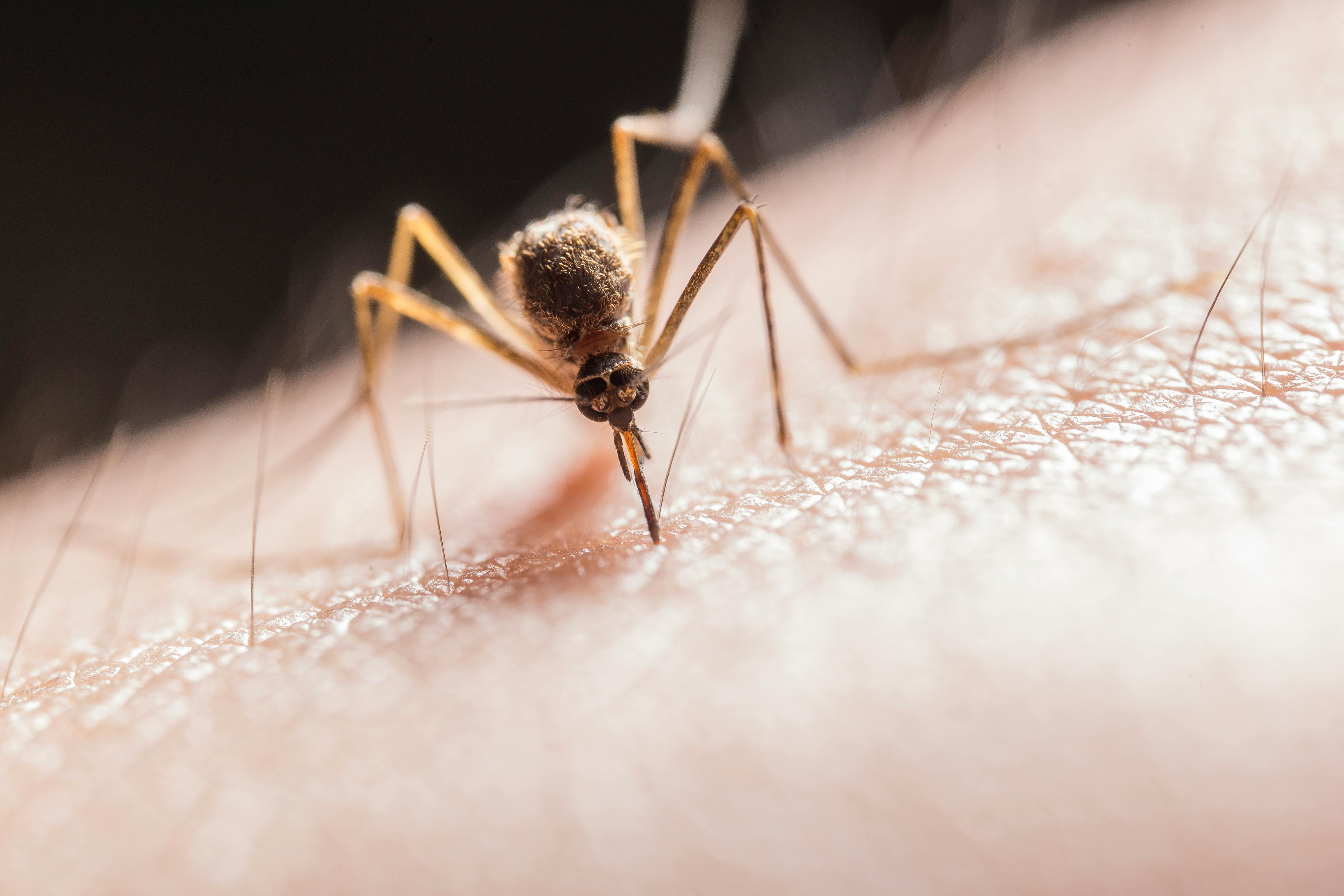 African Study Shows Malaria Messaging Impact