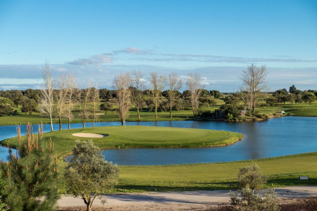 Lake surrounded by greenery under a blue sky and sunlight at daytime; image by wirestock, via Freepik.com.