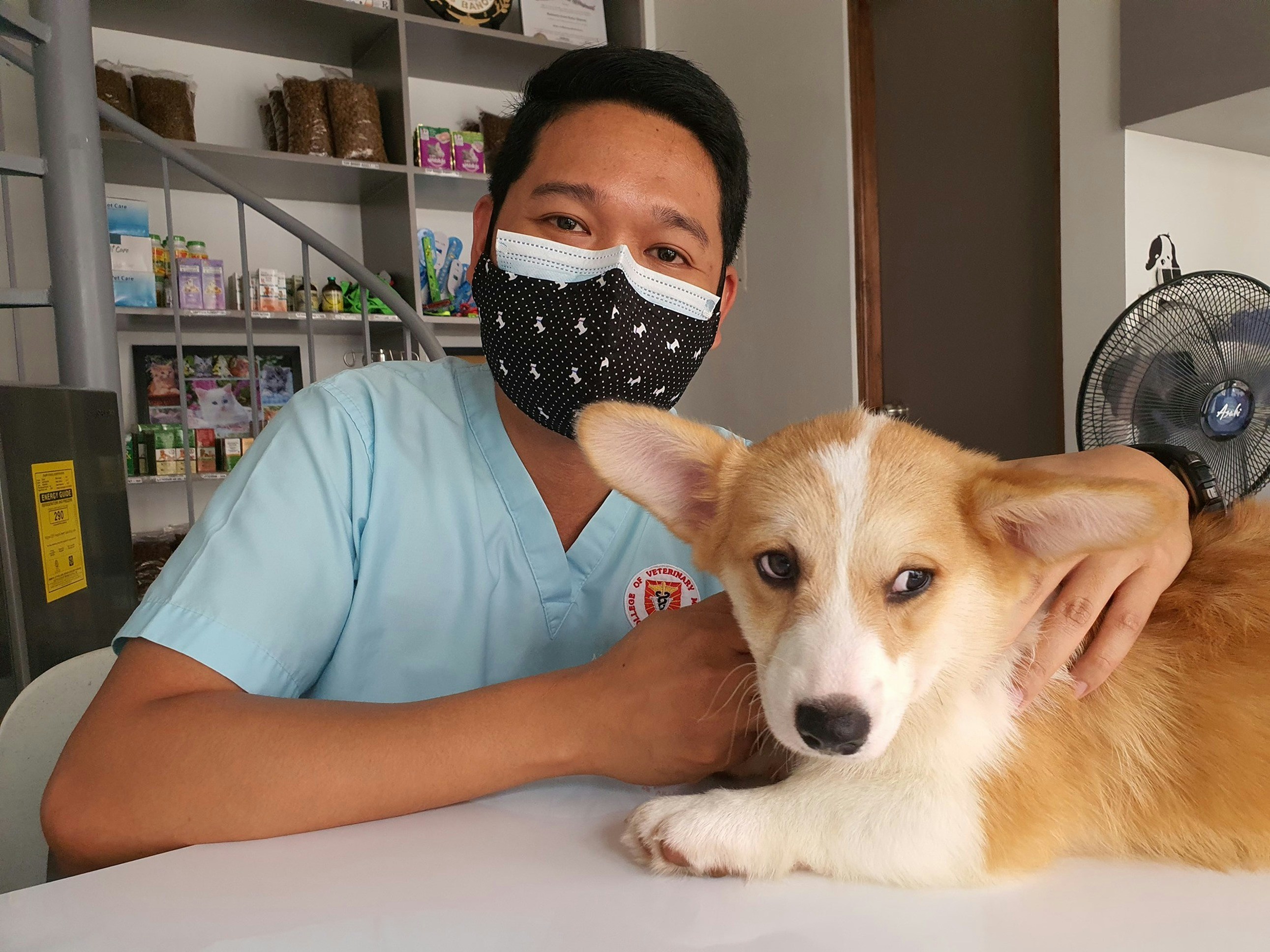 Vet and dog on table; image by Karlo Tottoc, via Unsplash.com.