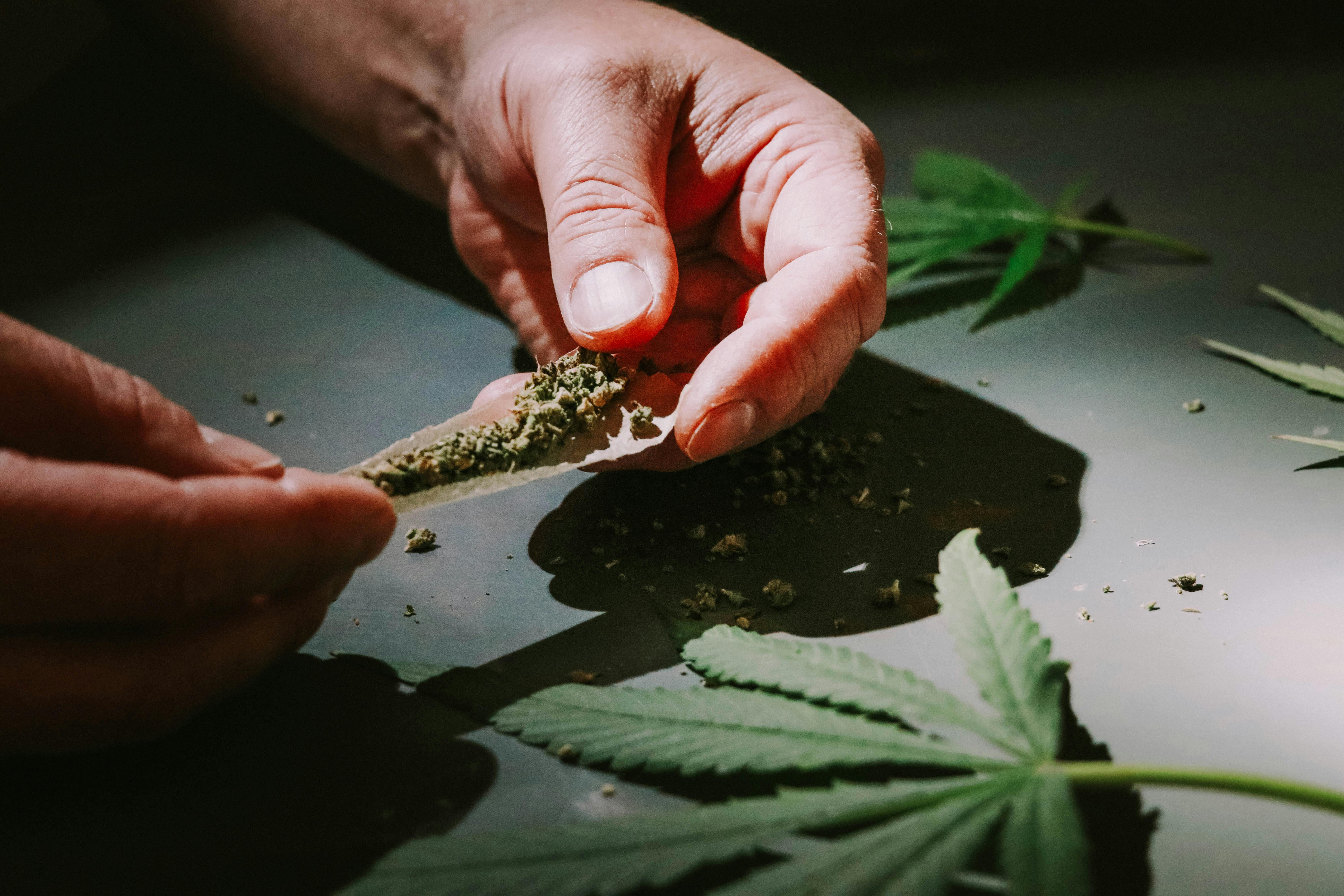 Study Finds Cannabis Use Affects Aging Minds