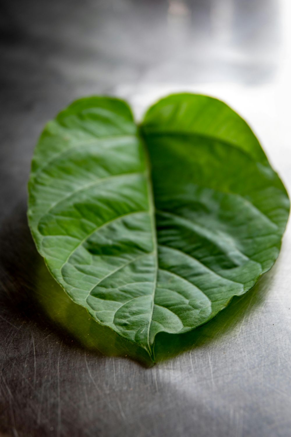 Tennessee Kratom Ban Nears July Start