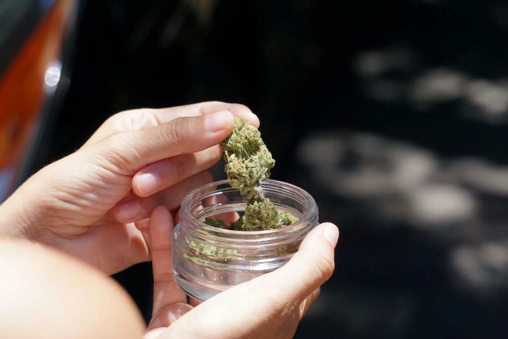 Cannabis Lawsuit Targets Product Health Claims