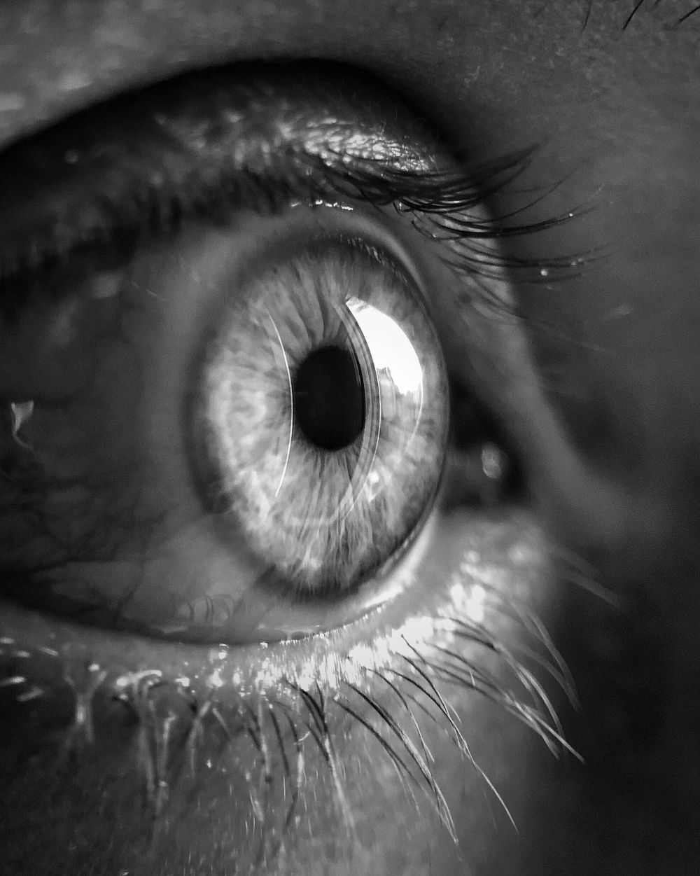 Patient Receives First Human Age Reversal Treatment